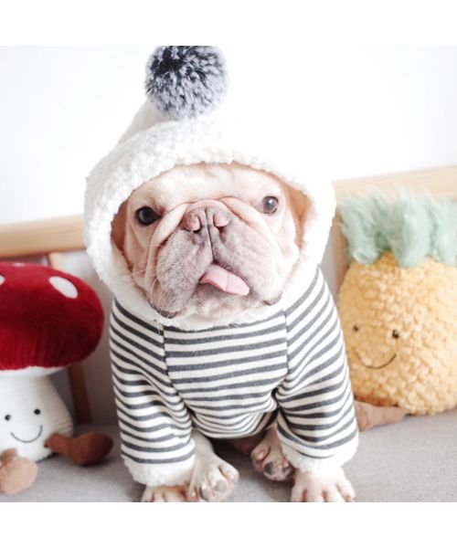 ドッグウェア パーカー もこもこ 犬服 ボーダー フレブル 犬用 フード付き 帽子付き ボーダー トップス 小さいサイズ 大きいサイズ 秋 冬 裏起毛 クララキッズ Clarah Kids D Fashion