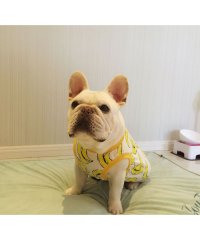 CLARAH　kids/ドッグウェア 犬服 タンクトップ Tシャツ 夏 ノースリーブ ドッグ 犬用 フルーツ バナナ 小型犬 中型犬 /504413992
