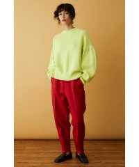 HeRIN.CYE/stretch twill pants/504440013