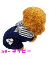 ネイビー