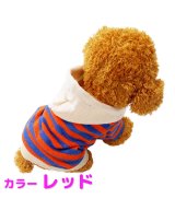 レッド