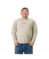 MAC HOUSE(men)/[大きいサイズ] Dickies ディッキーズ プリントロングスリーブTシャツ キングサイズ 2178－0531KG/504489535