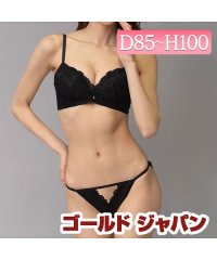 GOLD JAPAN/大きいサイズ レディース ビッグサイズ カシュクールデザインブラジャー＆ショーツセット/504502217