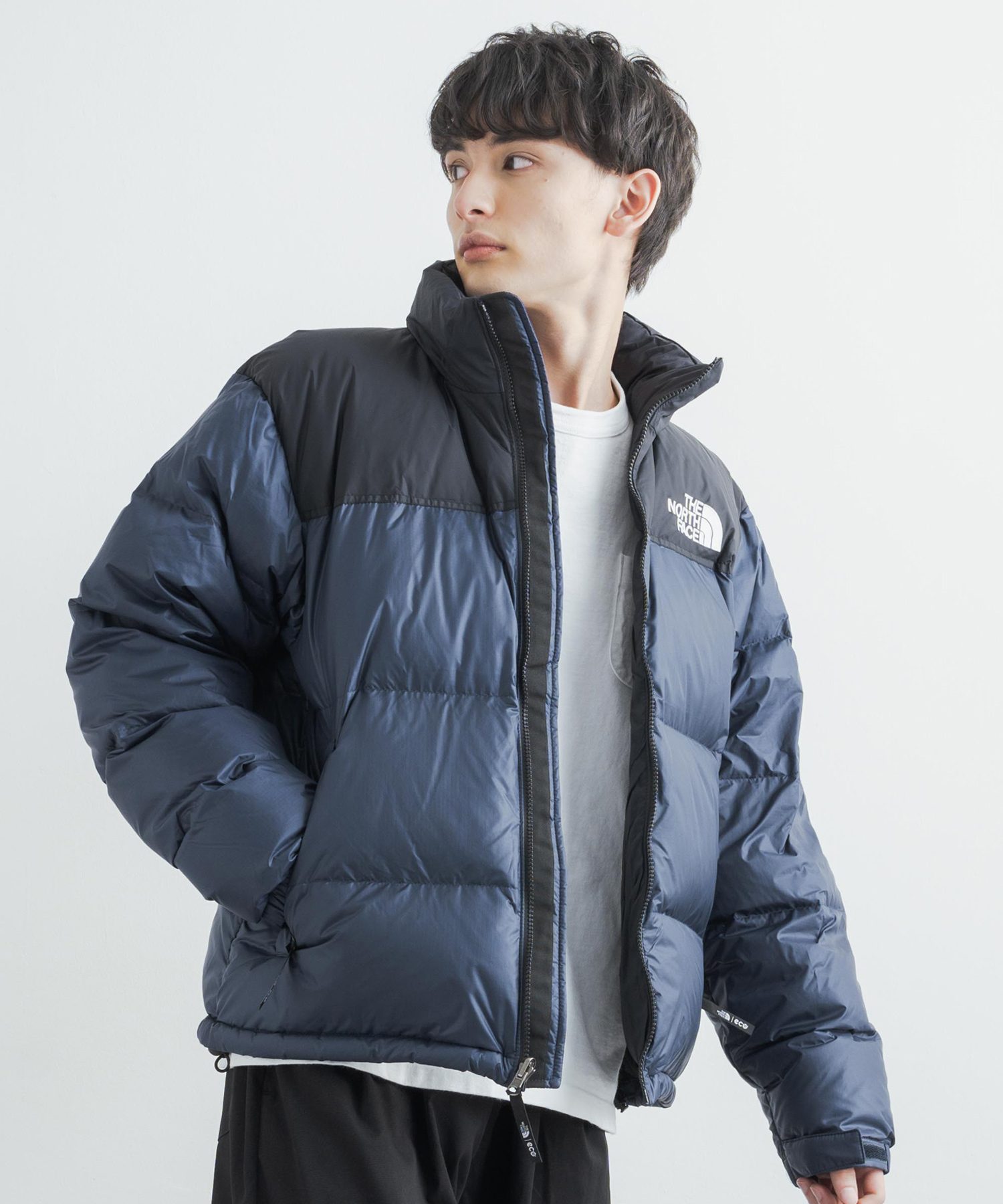 THE NORTH FACE 1996 ECO NUPTSE JACKET