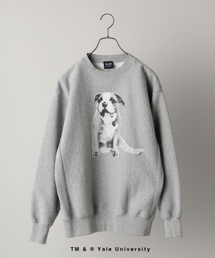 SHIPS: ビッグシルエット YALE UNIVERSITY DOG スウェット