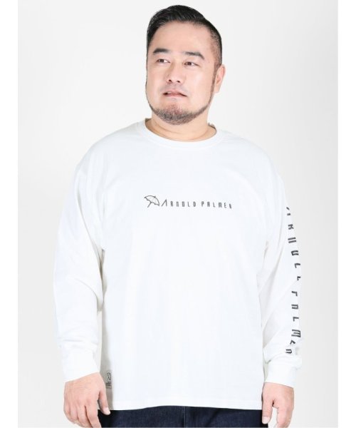 クーポン 大きいサイズ アーノルドパーマー Arnold Palmer 袖プリント クルーネック長袖ｔシャツ グランバック Grand Back D Fashion