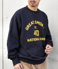 SHIPS any MEN/*SHIPS any: NATIONAL PARK プリント スウェット 23AW◇/504565124