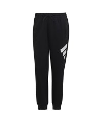 Adidas/アディダス スポーツウェア フューチャー アイコン パンツ/504579533
