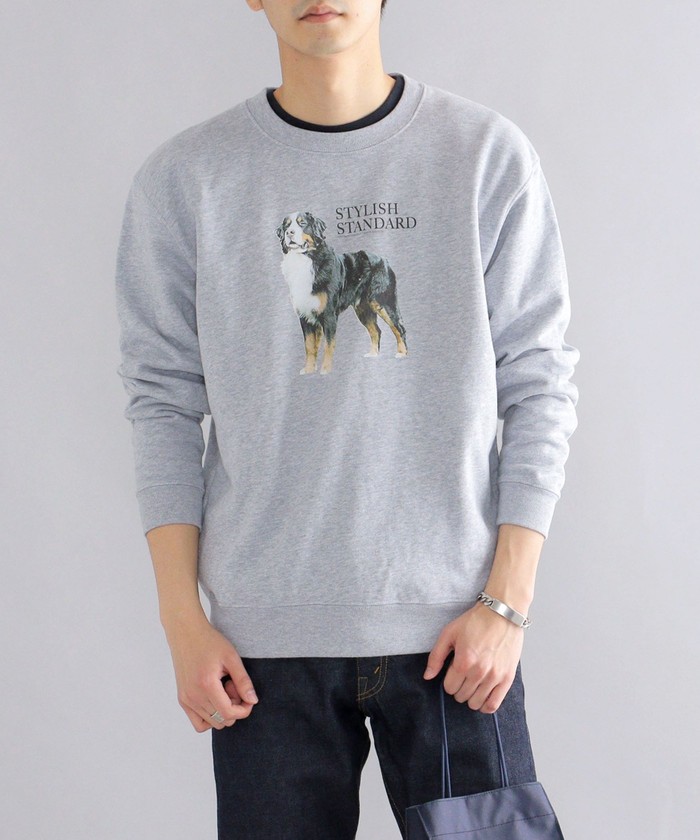 セール】*SHIPS: ビッグシルエット STYLISH STANDARD DOG セール】*SHIPS: ビッグシルエット STYLISH STANDARD DOG