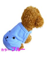 ブルー