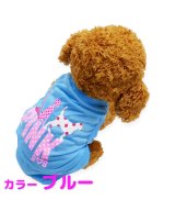 ブルー