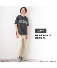 MAC HOUSE(men)/Dickies ディッキーズ グラフィック半袖Tシャツ 2278－1533/504598148