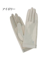 DAKS/ダックス DAKS 婦人 UV手袋 ショート丈/504619313