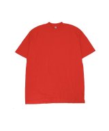 その他系4(Tomato)