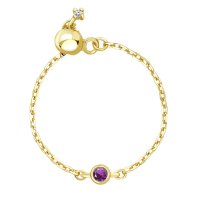 Sears/シアーズ Sears シアーズ リング ピンキー 指輪 レディース 誕生石 12月 タンザナイト ダイヤモンド sr03－0001－12/504637700
