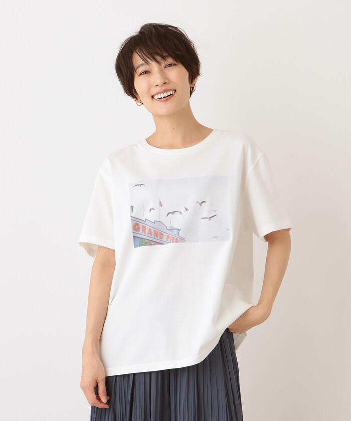 セール】フォトプリントワイドTシャツ/カモメ/神ノ川智早(504649312