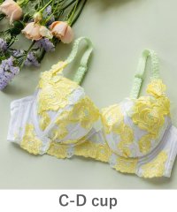 fran de lingerie/GRACE Grande らくらく補正グレースグランデ コーディネートブラジャー C65－D85カップ/503654689