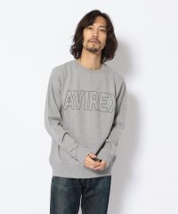 AVIREX/ロゴ クルーネックスウェット/AVIREX DAILY WEAR/504721201