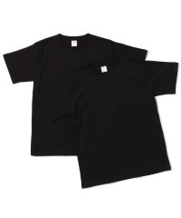 AVIREX/《DAILY/デイリー》DAILY 2－PACK CREW NECK TEE/デイリー2パック 半袖クルーネックTシャツ/504722830