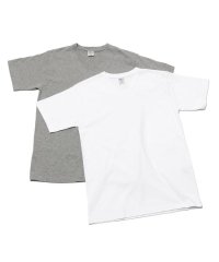 AVIREX/《DAILY/デイリー》DAILY 2－PACK V NECK TEE/デイリー2パック Vネック半袖Tシャツ/504722832