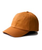 キャメル系1