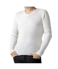  GENELESS/ジェネレス GENELESS ニット メンズ リブニット リブ Vネック タートルネック セーター シンプル 全6色 130N2751/504751060