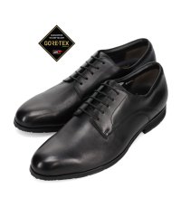 BASSANO/【大きいサイズ】ビークラシック BEE CLASSIC 【GORE－TEX】ゴアテックス 内羽根プレーントゥ・ビジネスシューズ  CBK7006G/504766023