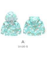 その他(A)