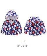 その他系3(H)