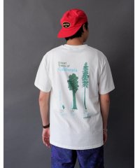 BEAVER/GRAMICCI/グラミチ　CALI TREES TEE カリツリーティー G2SU－T011/504809700