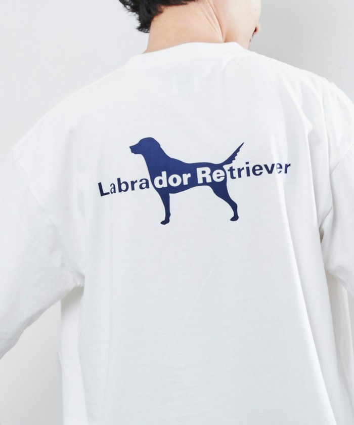 セール 12%OFF】Labrador Retriever(ラブラドール レトリバー