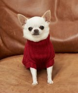 レッド(60)