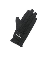 BRIEFING GOLF/【日本正規品】ブリーフィング ゴルフ BRIEFING GOLF WOMENS ANTIVIRUS TOUGH FIT GLOVE－R 右手 BRG221W02/504821665