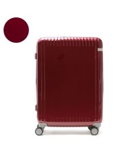 ace.TOKYO/エーストーキョー ace.TOKYO エーストーキョー スーツケース Mサイズ ace.TOKYO キャリーケース 軽量 TSAロック ストッパー付き 旅行 5/504825844