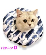 その他系3(パターンD)
