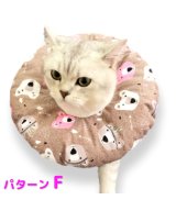 その他系5(パターンF)