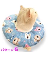 その他系6(パターンG)