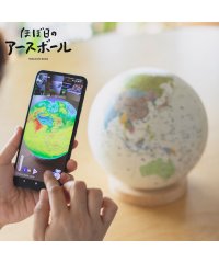 HOBONICHI/ホボニチ ほぼ日 ほぼ日 地球儀 子供用 小学生 20cm球 アースボール ジャーニー スマホ タブレット 対応 知育 玩具 学習 自由研究 EARTH BAL/504844244