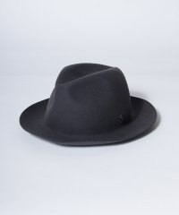 arth/arth Crashable Fedora/504836994