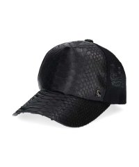 arth/arth Python CAP/504836996