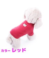 レッド
