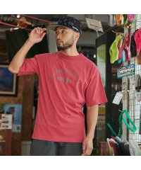 SUNNY SMITH/サニースミス Sunny Smith Cool Smith GDS Print SS Tee/504857968