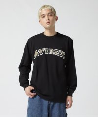 AVIREX/《REBUILD COLLECTION》長袖 シェニール ロゴ Tシャツ / L/S CHENILLE LOGO T－SHIRT/504866429