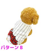その他系1(パターンB)