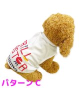 その他系2(パターンC)