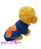 ブルー