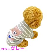 グレー