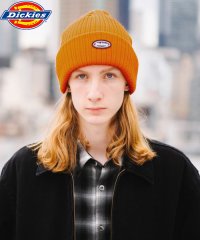 Dickies/Dickies CALIF LOGO WAPPEN KNIT CAP/504884726