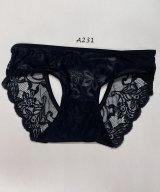 その他系10(A231)