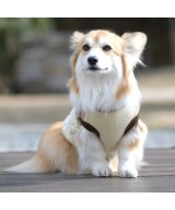 ブラウン